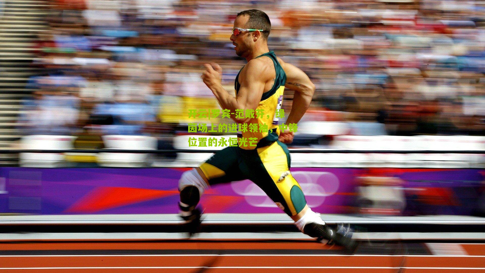 开云|罗宾-范戴芬，绿茵场上的进球领袖，中锋位置的永恒光芒